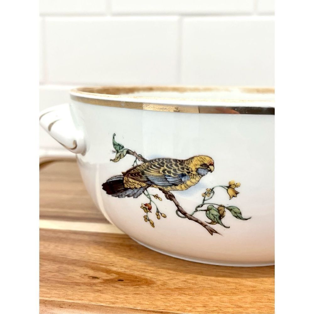 Rare Vintage Pillivuyt France Covered Tureen | Exotic Birds Porcelain - Picture 8 of 12